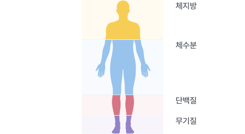 4분법