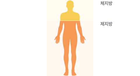 2분법