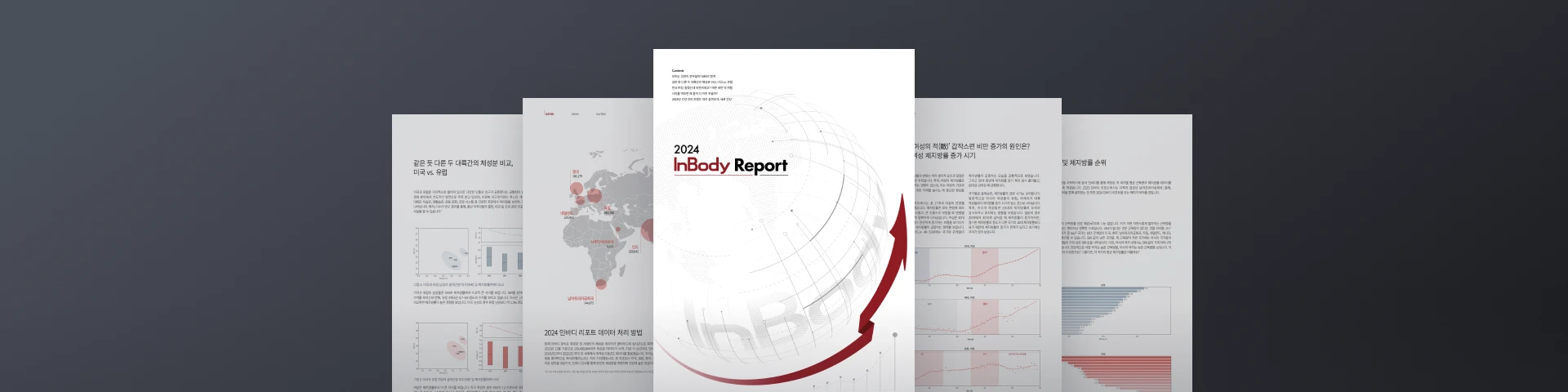 InBody Report