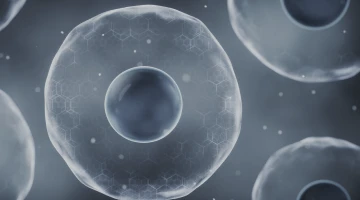 체중을 넘어 세포로: 2024년 건강 관리의 새로운 기준 진실:보이는 것만이 전부일까?