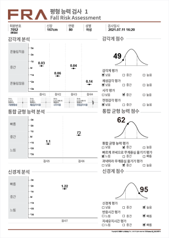 평형능력검사 결과지결과지